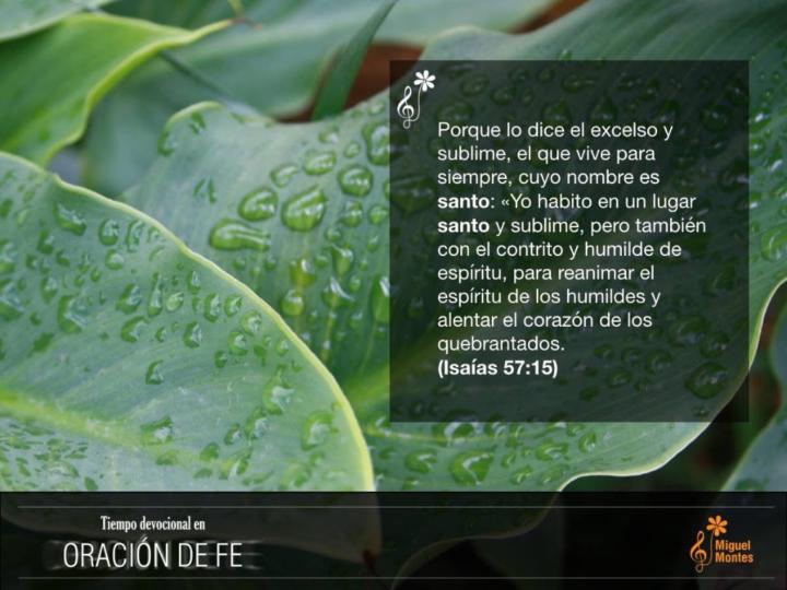 Miguel Montes
