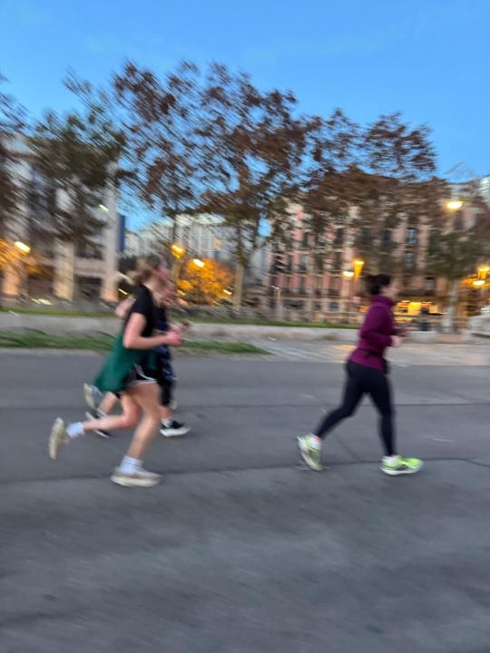 Trine Olivia H. Steinicke