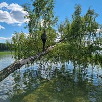 Baltazaras Liktaravič