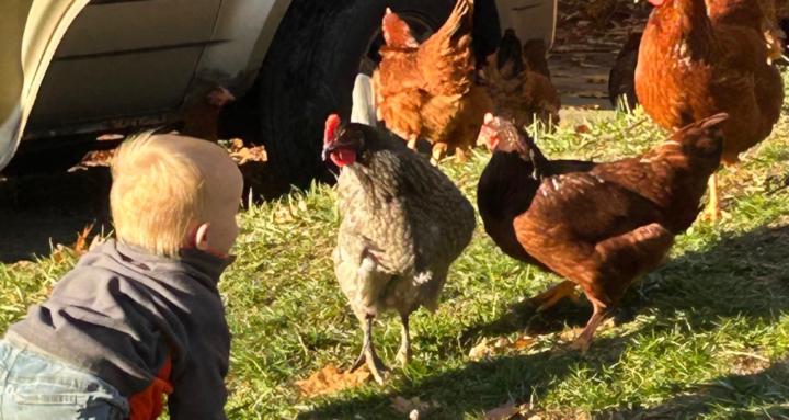 Gods little miracles