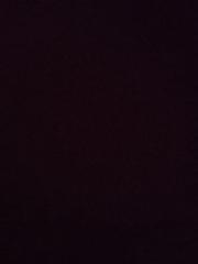 Beatriz Bernabeu soria