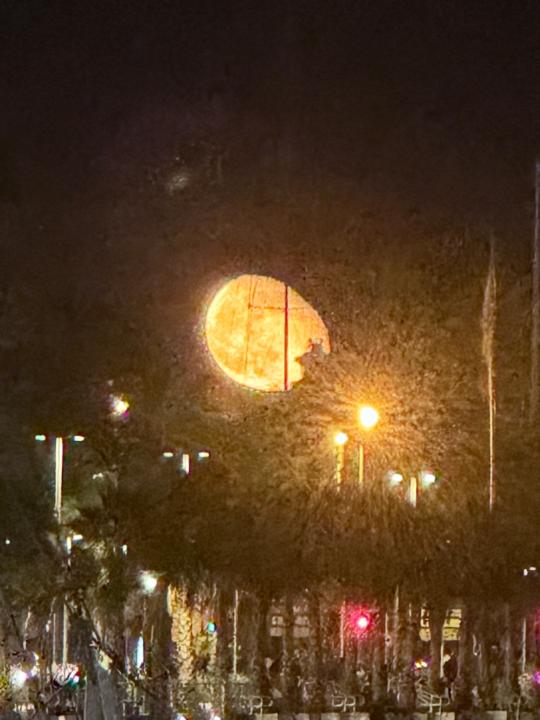 Ignacio García Prieto