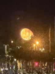 Ignacio García Prieto