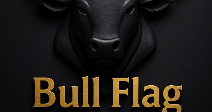 Bull Flag Capital