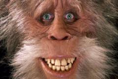 Steve Davis