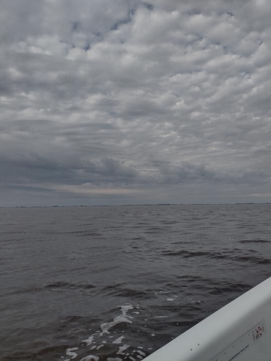 Gaston alejandro Moselle