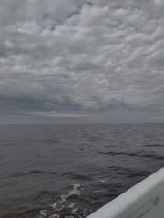 Gaston alejandro Moselle