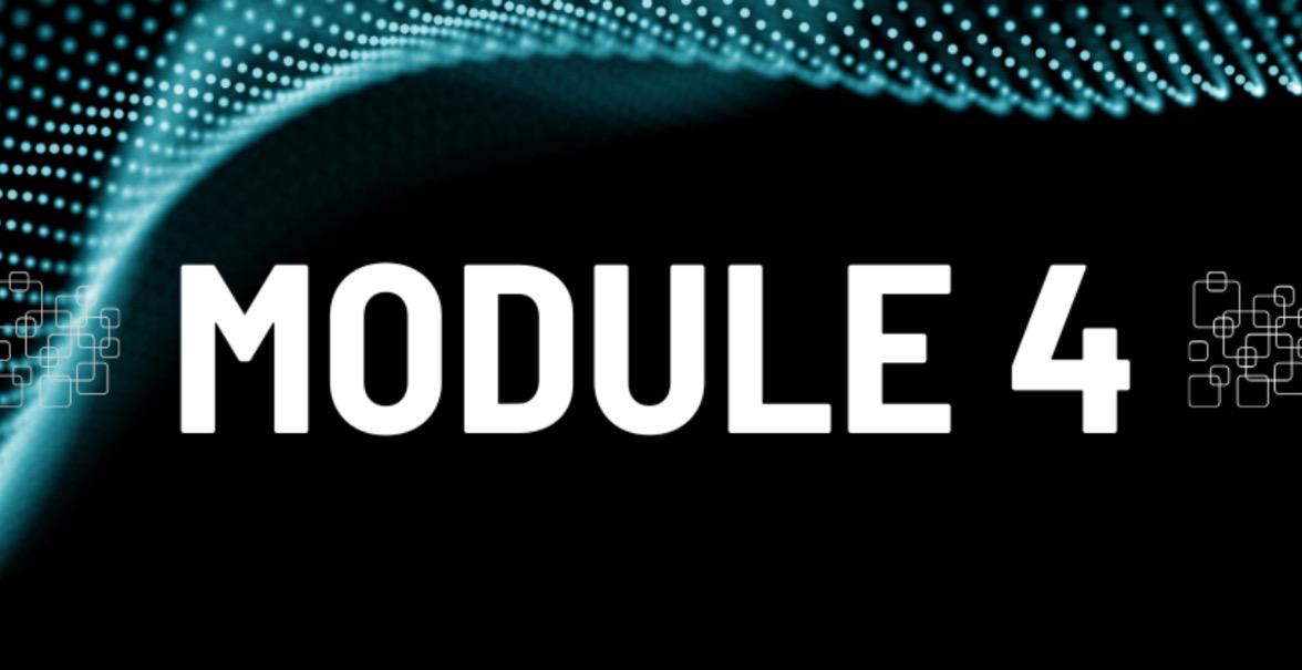 🎯 MODULE 4: BUILDING INCOME STREAMS