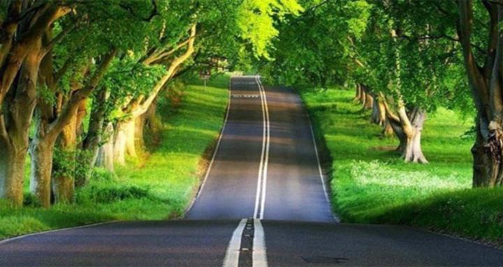 James pain solutions