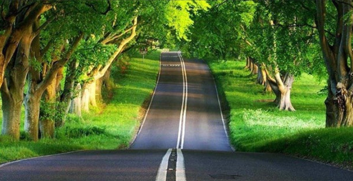 The  80% off version