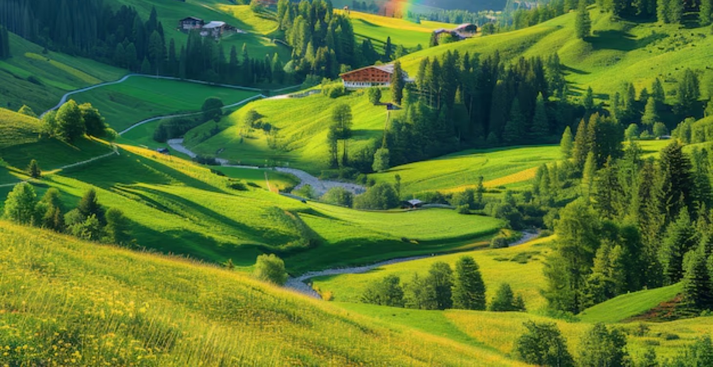 The solution to your pain