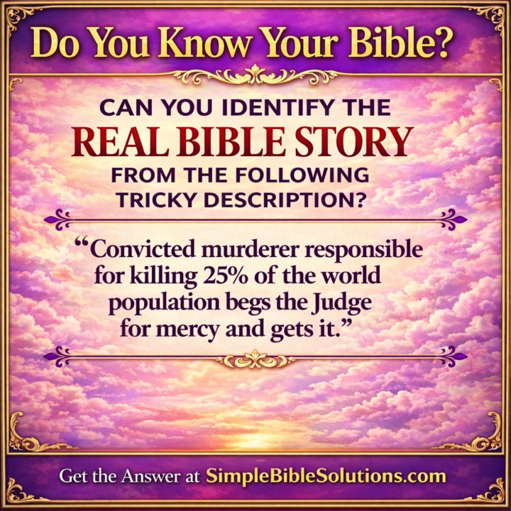 The Real Bible Story