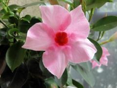 Soundoussia Attoumane