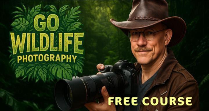 Go Wildlife Photography