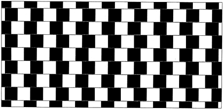 The Cafe-Wall Illusion, in Which Rows of Tiles Tilt That Should Not Tilt At All