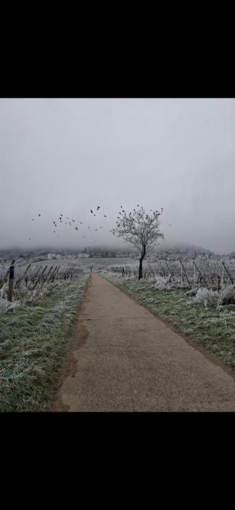 Healing Starts With Acceptance