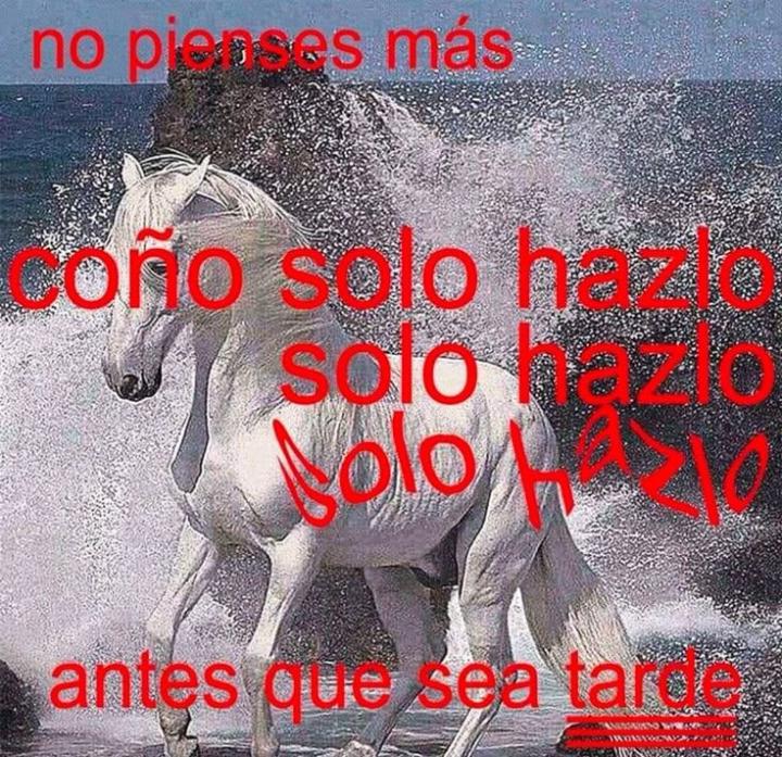 Harold Castillo