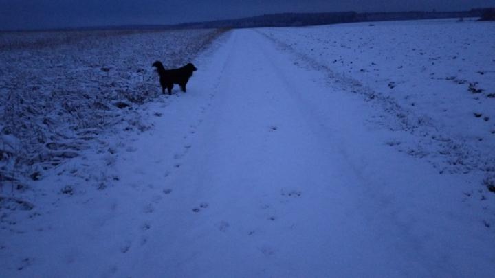 Jacqueline Le Solleu