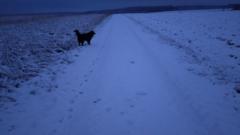 Jacqueline Le Solleu