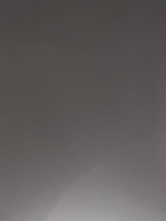 Y T