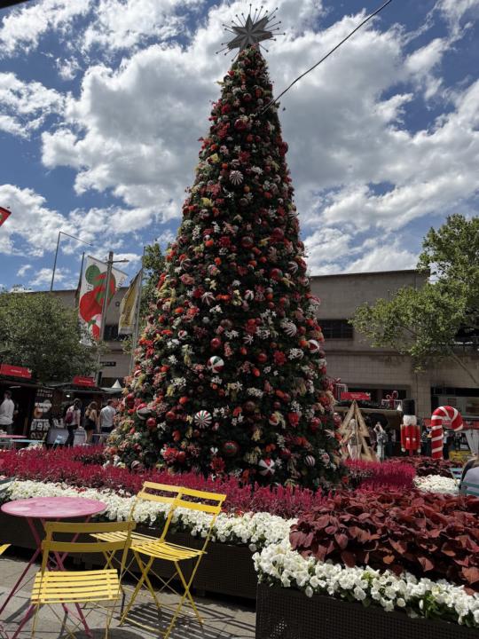 Merry Christmas! Зул сарын баярын мэнд хүргэе!
