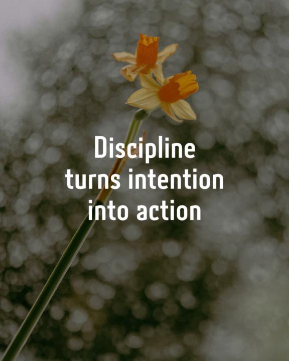 Discipline turns intention into action.