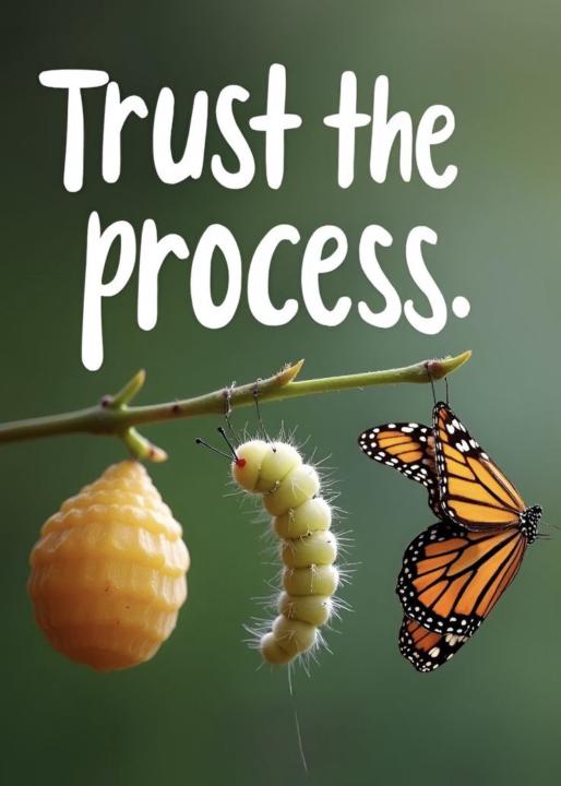 I just love this Community.....