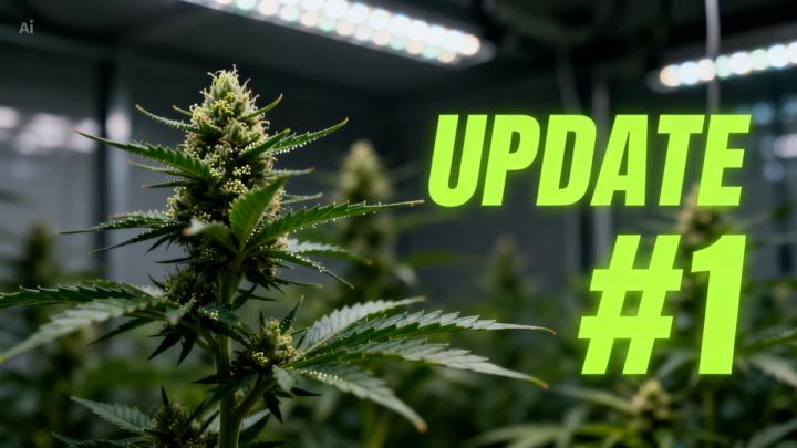 My Personal Grow Log 🌱🍃 