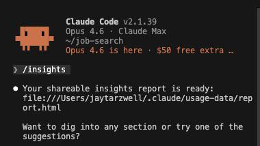 Type /insights Into Your Terminal Right Now