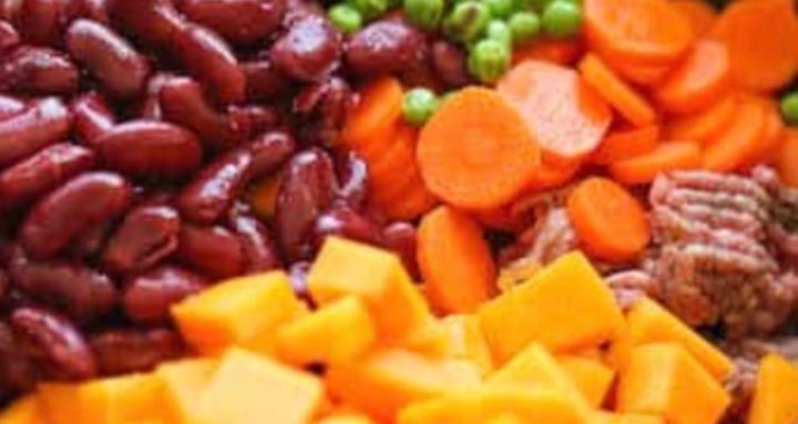 Healing Hounds Holistically