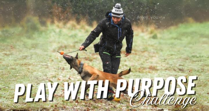 Play with Purpose [ARCHIVED]