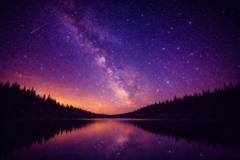 Thomas Manifestschool