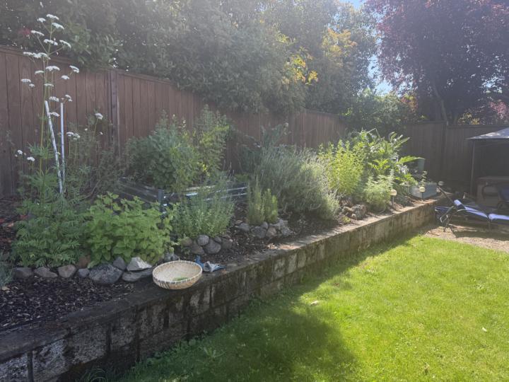 Oregon Gardening