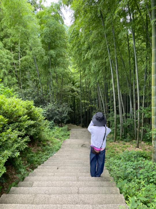 Chia yi Lin