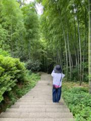 Chia yi Lin