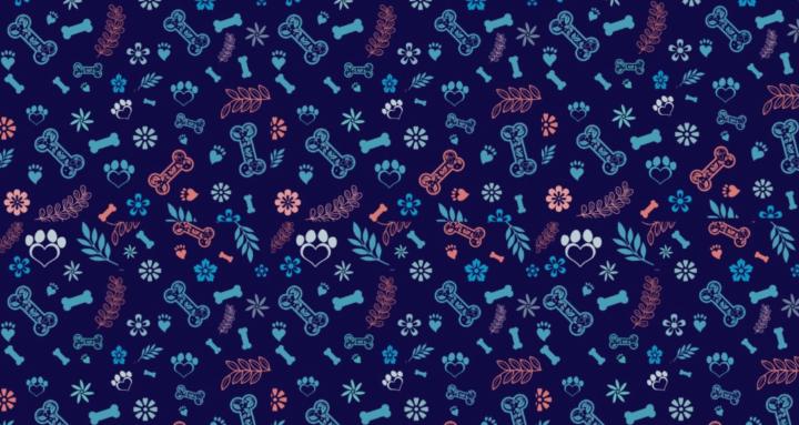 4 Paws, 2 feet, One Team