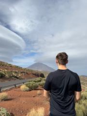 Theo Alvarado Bisson