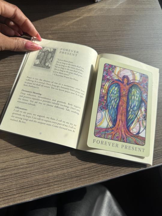 Daily Reading✨