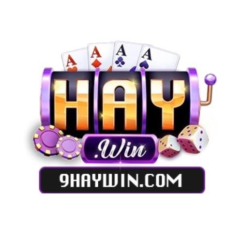 Haywin Hệ Thống Giải