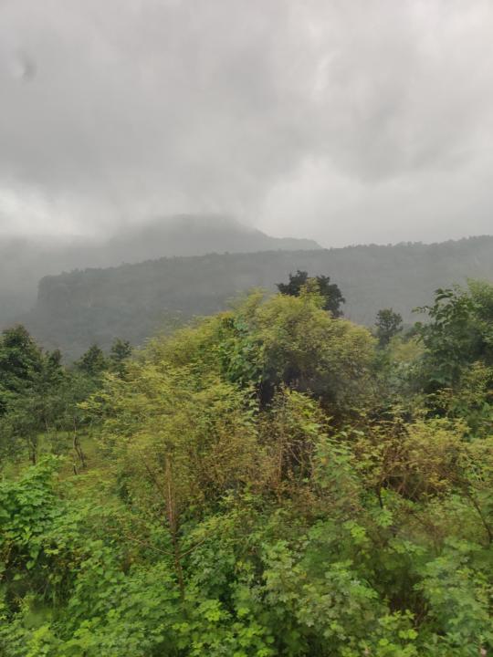 Neisha Arya Saxena