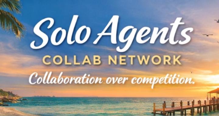 Solo Agents Collab Networks
