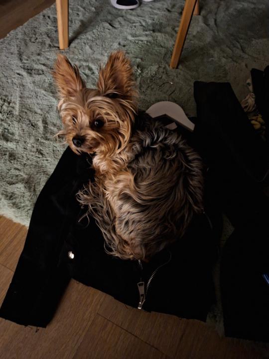 Фрида Петрова