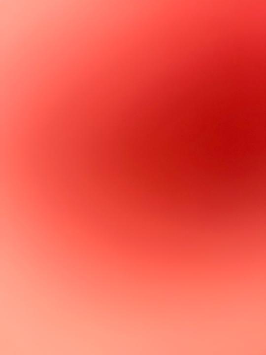 Jose Escudero tamara