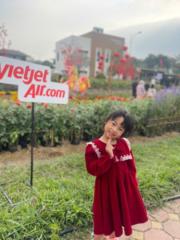 Hoa Quỳnh