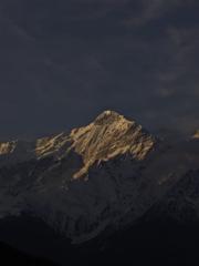 Ujjol Dhar