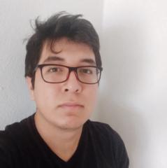 Luis Enrique Rodriguez Martinez