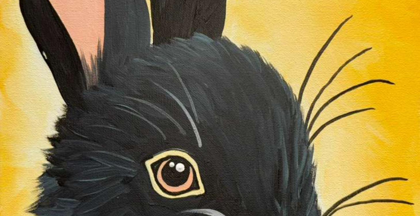 Black Bunny