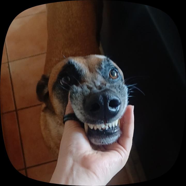Nina Veupaldir
