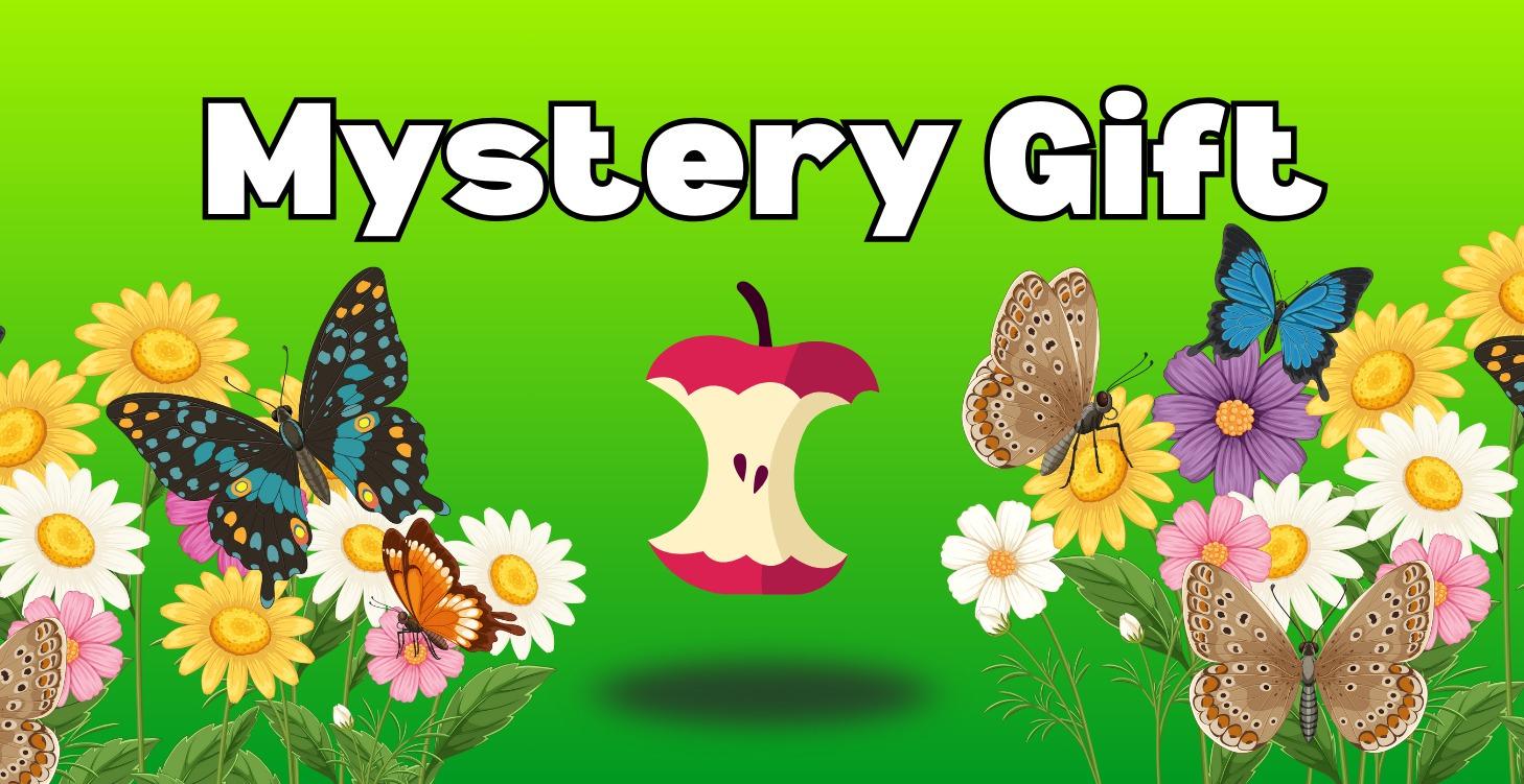 Mystery Gift