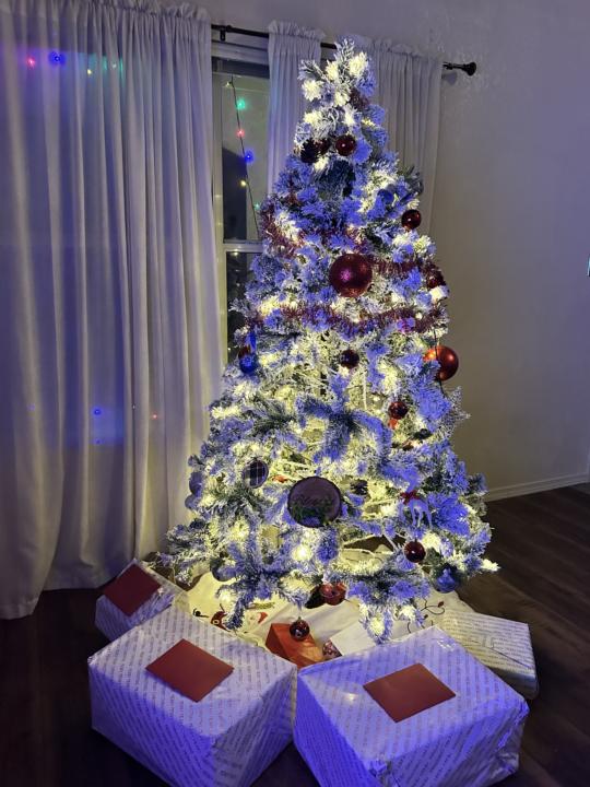 Shifting gears!!! 🌺🦋